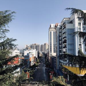 顾平把船开到了湖中央
